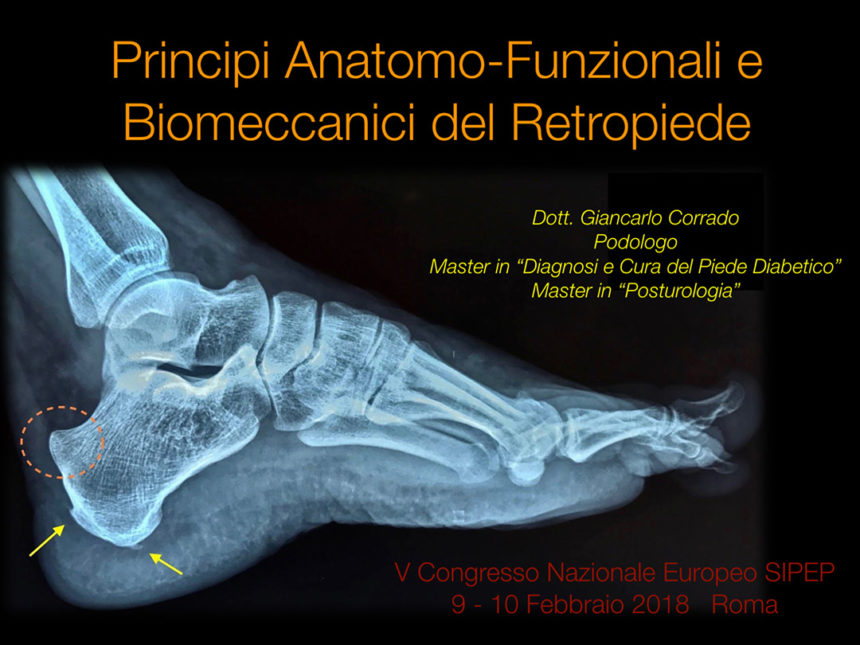Principi Anatomo-Funzionali e Biomeccanici del Retropiede